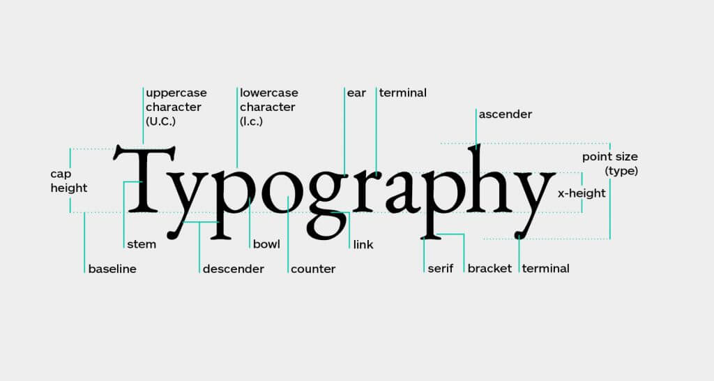 Typography_Anatomy-1024x546